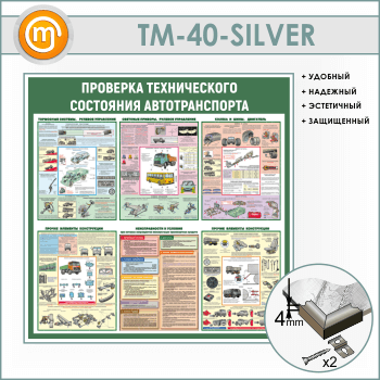 Стенд «Проверка технического состояния автотранспорта» (TM-40-SILVER)